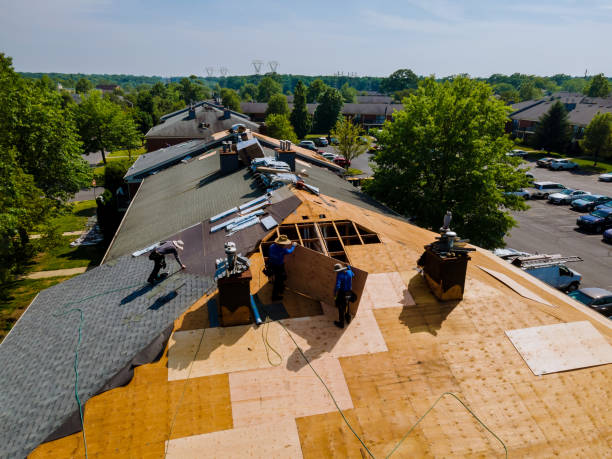 Best Roof Maintenance Services  in Amelia Court House, VA