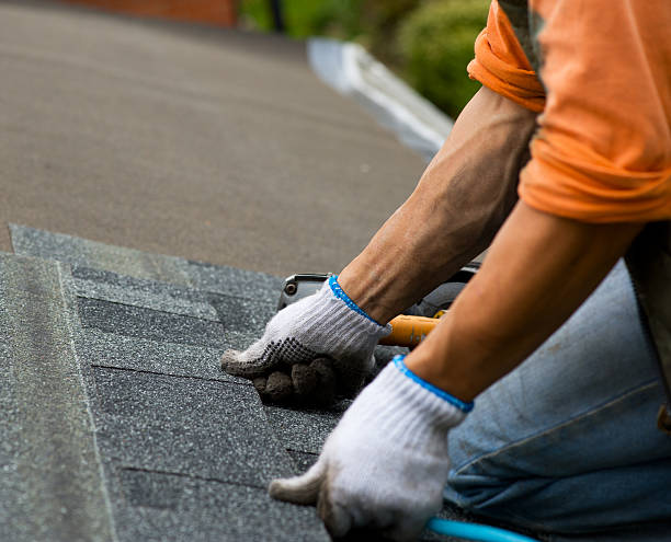 Best Metal Roofing Contractor  in Amelia Court House, VA